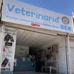 Negocio Clinica Veterinaria Rex
