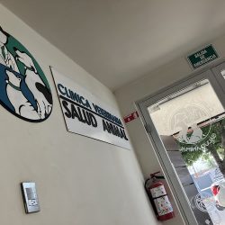 Clinica Veterinaria Salud Animal