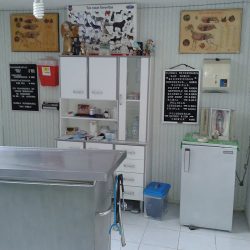 Negocio Clinica Veterinaria San Pablo / Consultorio Dr Espinosa