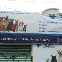 Clínica Veterinaria Valencia