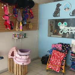 Clinica Veterinaria Vet Care Ags
