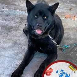 Clínica Veterinaria Vetsa