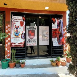 Clínica Veterinaria Xolocalli