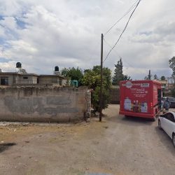 Negocio Clínica Y Estética Animal