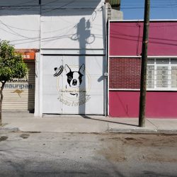 Negocio Clínica Y Estética Veterinaria Perrito Fernández