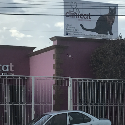 Clinicat