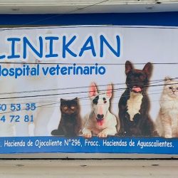 Clinikan Hospital Veterinario