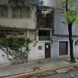 Consultorio Médico Veterinario