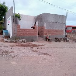 Negocio Consultorio Veterinario "danmary'