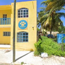 Negocio Consultorio Veterinario & Más Vetbeach