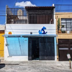 Consultorio Veterinario Para Perros Y Gatos