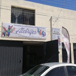 Consultorio Veterinario Y Estética "alebrijes"