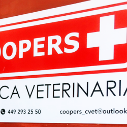 Negocio Coopers ClÍnica Veterinaria
