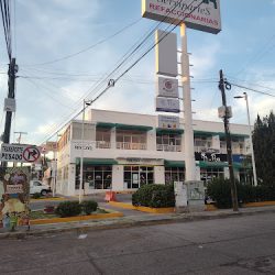 Negocio Cvm ( Malmaduke) Exotic Vet Center