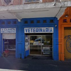 Negocio De La Vega Ceron Maria Consuelo