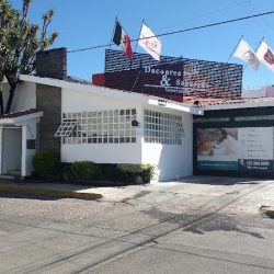 Doctores Y Sabuesos Veterinaria