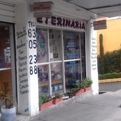 El Mundo De Las Mascotas