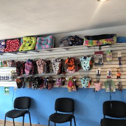 Estética Canina Charly Pets