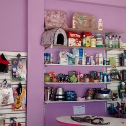 Estetica Canina Y Veterinaria Bella Pet
