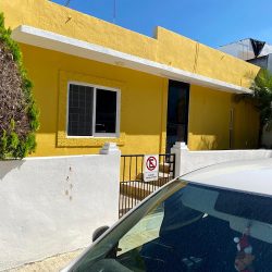 EstÉtica & PensiÓn Canina "dotty"