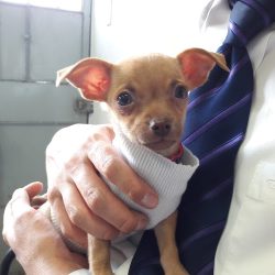 Exotic Veterinary Center