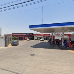 Negocio Farmacia Veterinaria