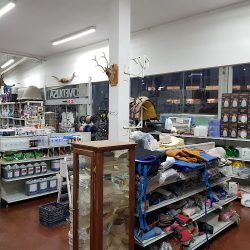 Farmacia Veterinaria