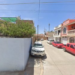 Negocio Farmacia Veterinaria Y Forrajes BridÓn