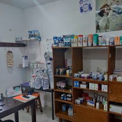 Negocio Farmavet Campeche