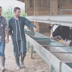 Forrvet - Matriz [forrajera Y Veterinaria]