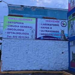 Hospital Central Para Mascotas
