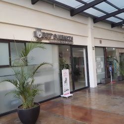 Hospital Pet's Health