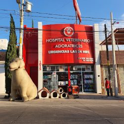 Hospital Veterinario Adoratrices
