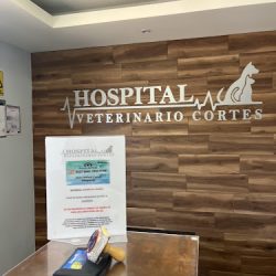 Negocio Hospital Veterinario Cortez