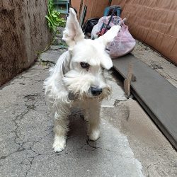 Hospital Veterinario De Alta Especialidad