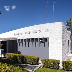 Hospital Veterinario De Pequeñas Especies Uaa