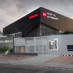 Hospital Veterinario De Puebla Unidad Recta 24/7