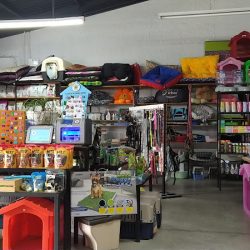 Hospital Veterinario Dr Blue