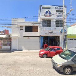 Hospital Veterinario