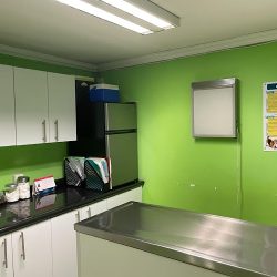 Negocio Hospital Veterinario Hera