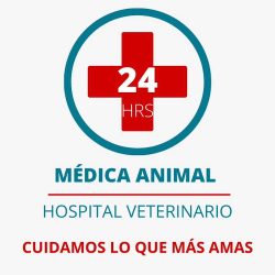 Hospital Veterinario Médica Animal 24 Hrs