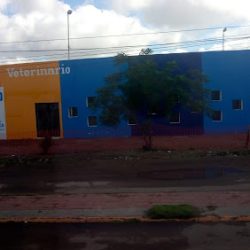 Hospital Veterinario Municipal
