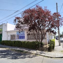 Hospital Veterinario Paws & Claws