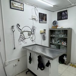 Hospital Veterinario: Unidad De Pequeñas Especies Y Fauna (upef)