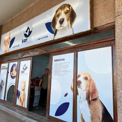 Karvet Centro Holístico Veterinario
