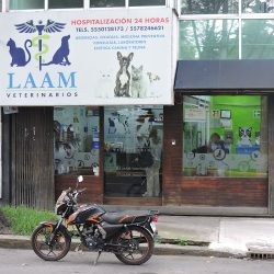 Laam Veterinarios