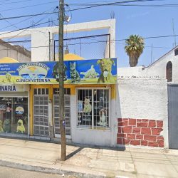 Negocio Los Delfines Clinica Veterinaria