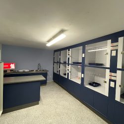 Marlovet Gatos Hospital Veterinario