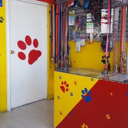 Mascotitas Clinica Veterinaria