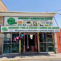 Mazcotaz Aguascalientes